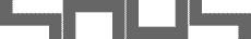 HAUS LOGO